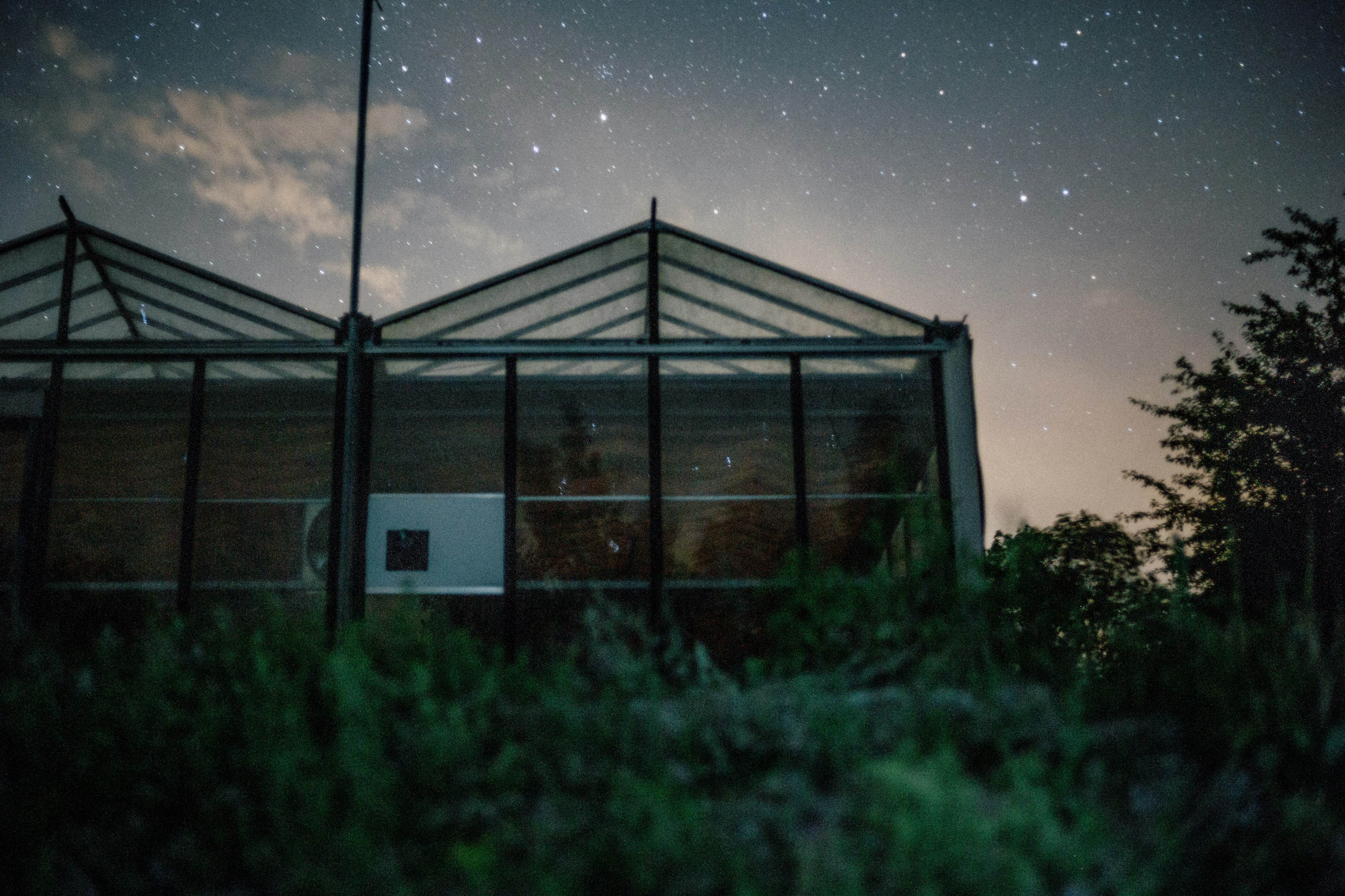 worm's-eye view photo of green house under stardust